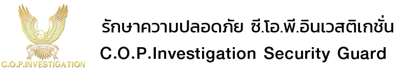 brandex logo