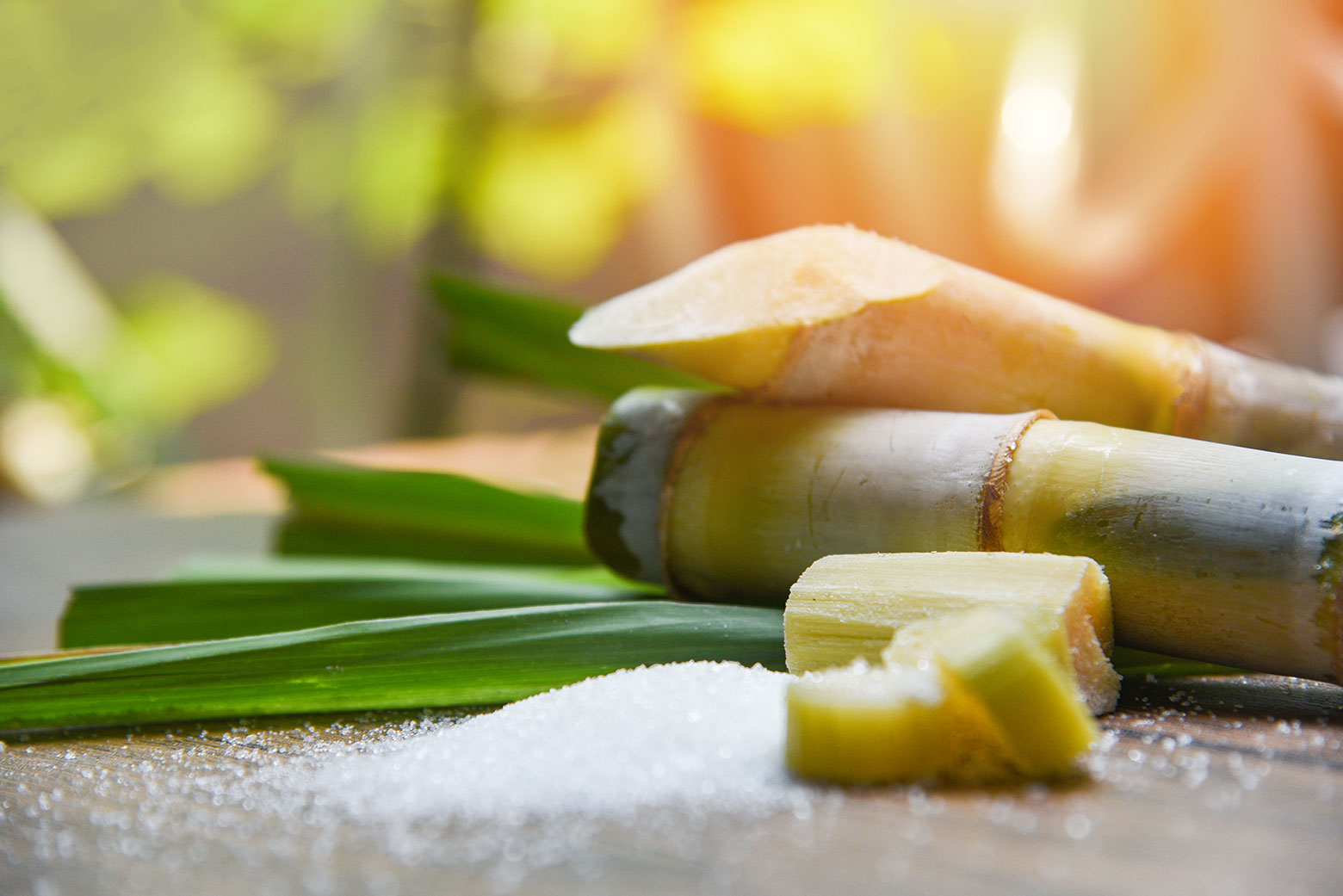 sugar-mill-industry